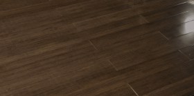 571-559-oreh-glyanets-sbor